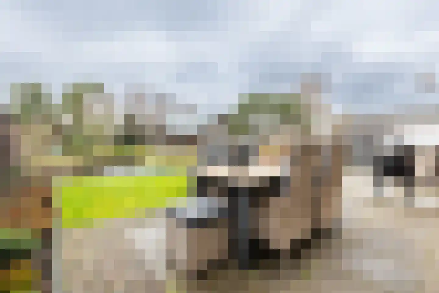 Jaap de Boerstraat 22 Westzaan thumbnail 64