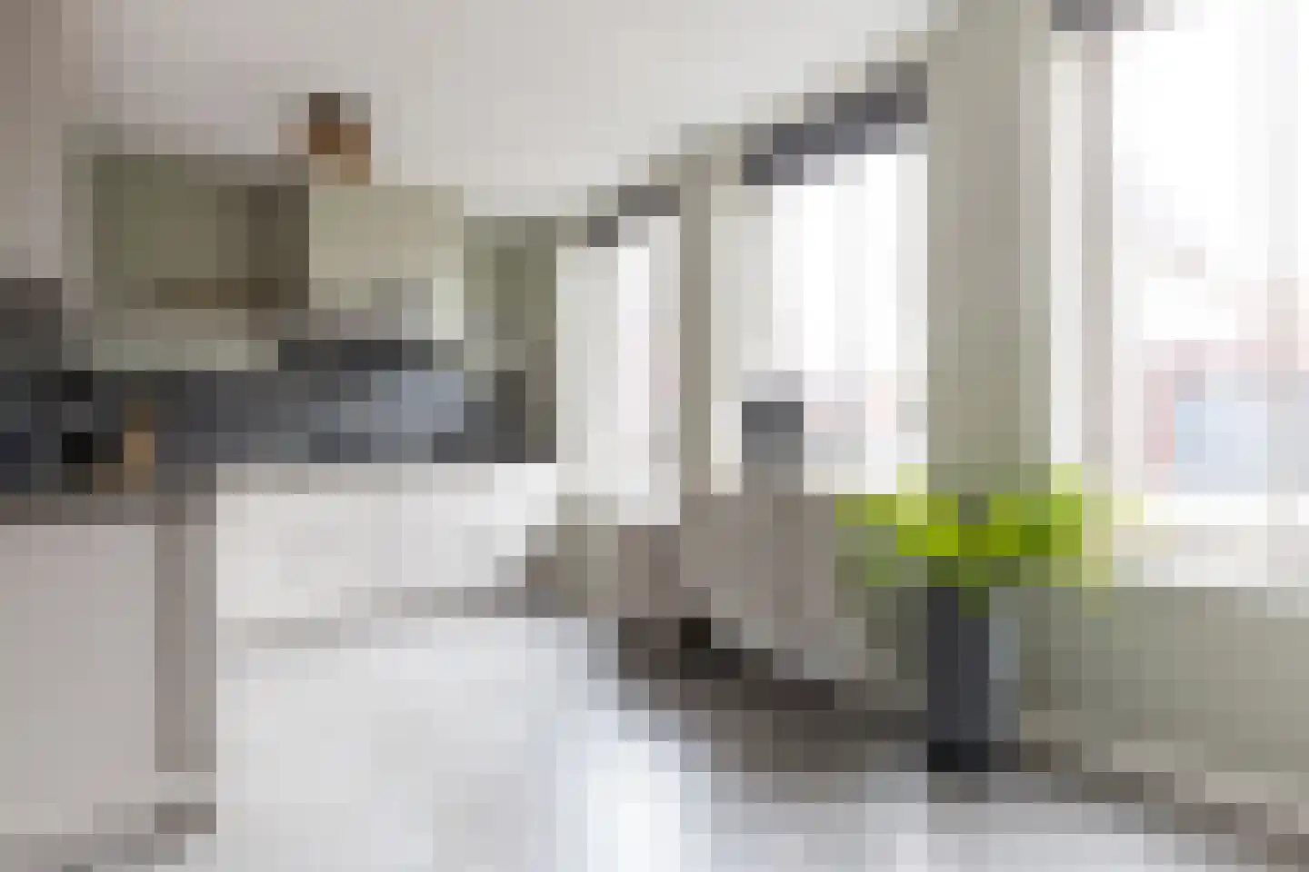 Jaap de Boerstraat 22 Westzaan thumbnail 8
