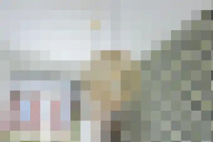 Jaap de Boerstraat 9 Westzaan thumbnail 12