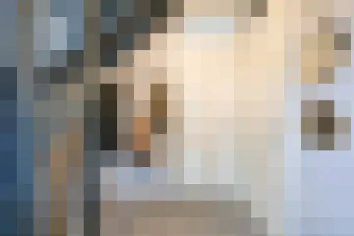 Jaap de Boerstraat 9 Westzaan thumbnail 15