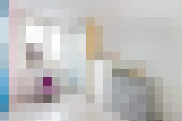 Jaap de Boerstraat 9 Westzaan thumbnail 20