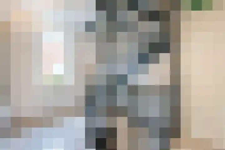 Jaap de Boerstraat 9 Westzaan thumbnail 28