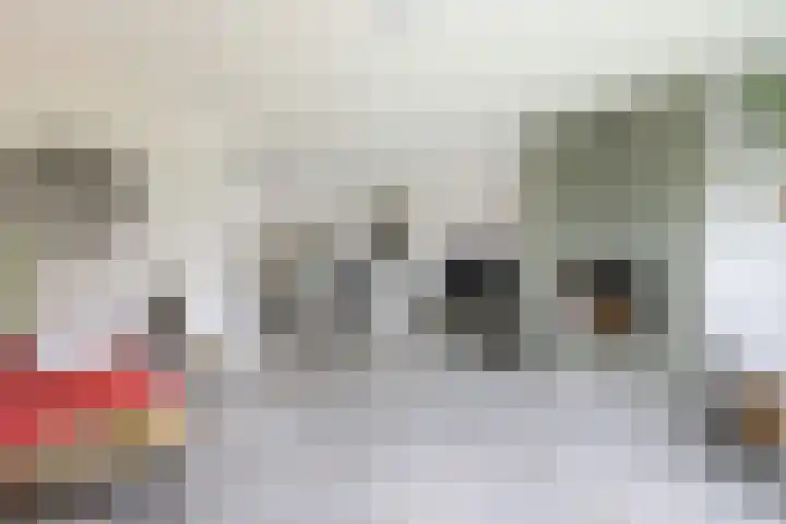 Jaap de Boerstraat 9 Westzaan thumbnail 4