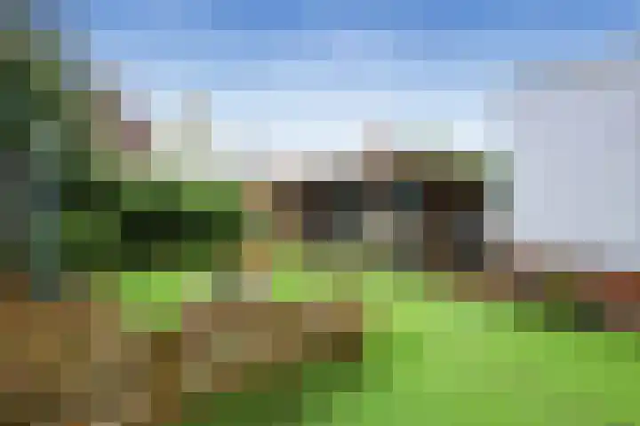 Jaap de Boerstraat 9 Westzaan thumbnail 41