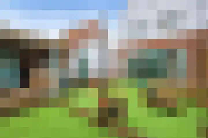 Jaap de Boerstraat 9 Westzaan thumbnail 42