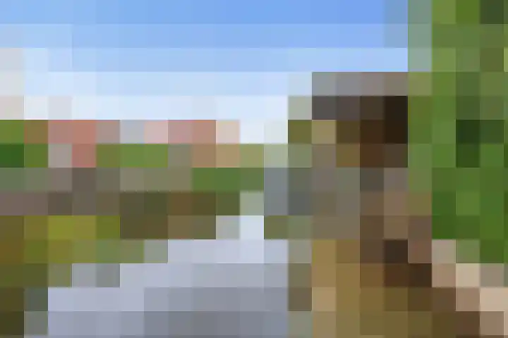 Jaap de Boerstraat 9 Westzaan thumbnail 43