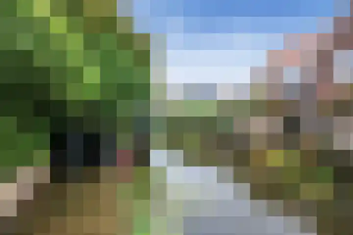 Jaap de Boerstraat 9 Westzaan thumbnail 44