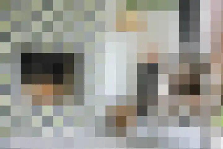 Jaap de Boerstraat 9 Westzaan thumbnail 5