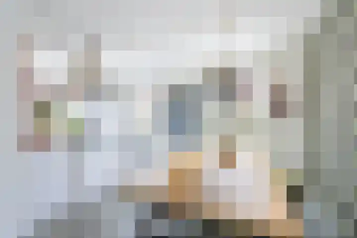 Jaap de Boerstraat 9 Westzaan thumbnail 9