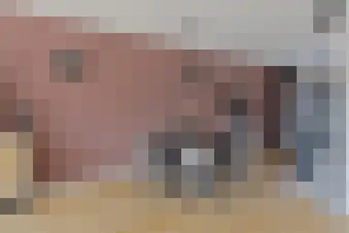 Jaap de Jongstraat 15 Nieuw-Lekkerland thumbnail 11