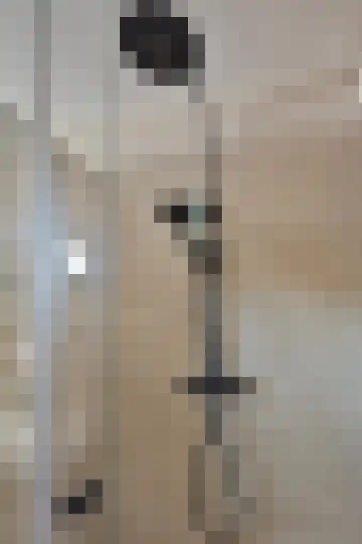 Jaap de Jongstraat 15 Nieuw-Lekkerland thumbnail 22