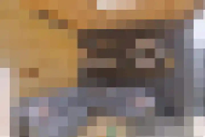 Jaap de Jongstraat 15 Nieuw-Lekkerland thumbnail 33