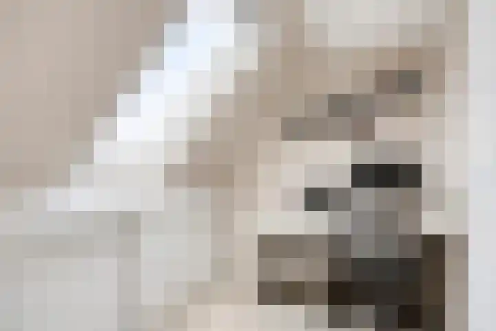 Jaap de Jongstraat 72 Nieuw-Lekkerland thumbnail 35