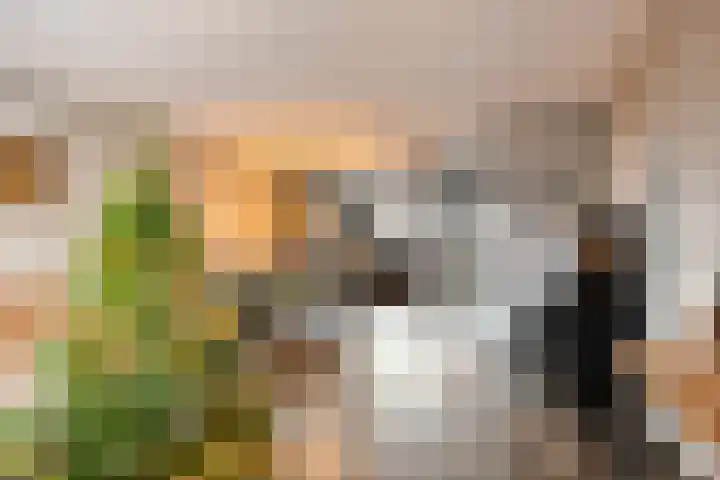 Jaap de Jongstraat 72 Nieuw-Lekkerland thumbnail 4