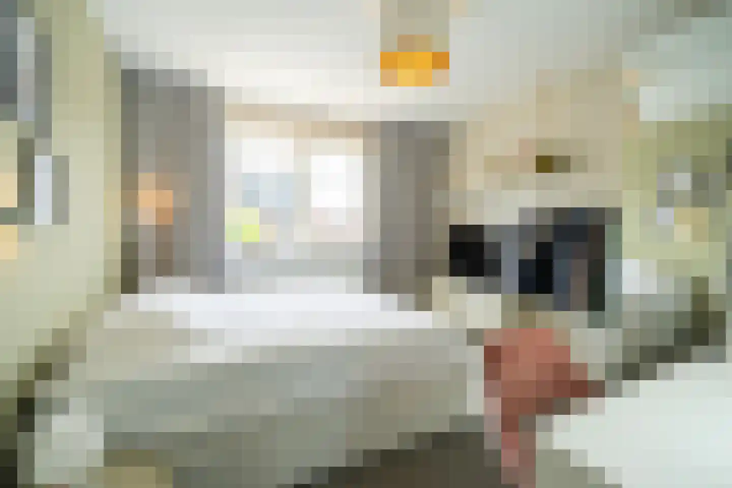 Jaap Edenbaan 12 Haarsteeg thumbnail 16