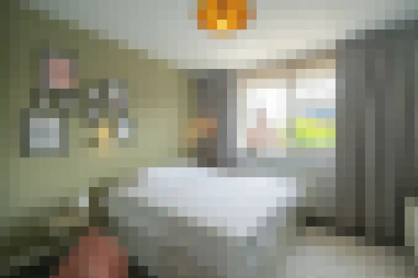 Jaap Edenbaan 12 Haarsteeg thumbnail 17