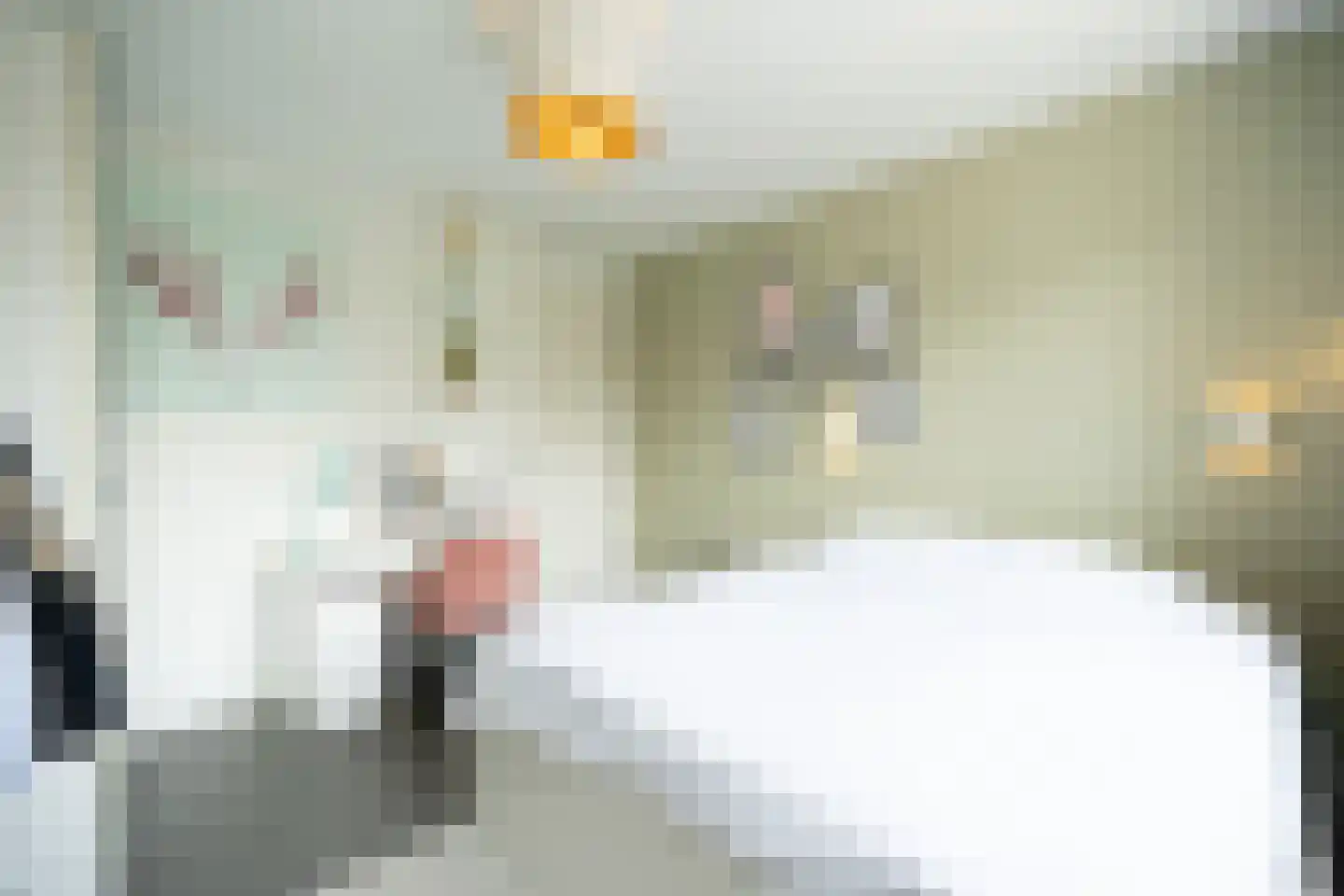 Jaap Edenbaan 12 Haarsteeg thumbnail 18