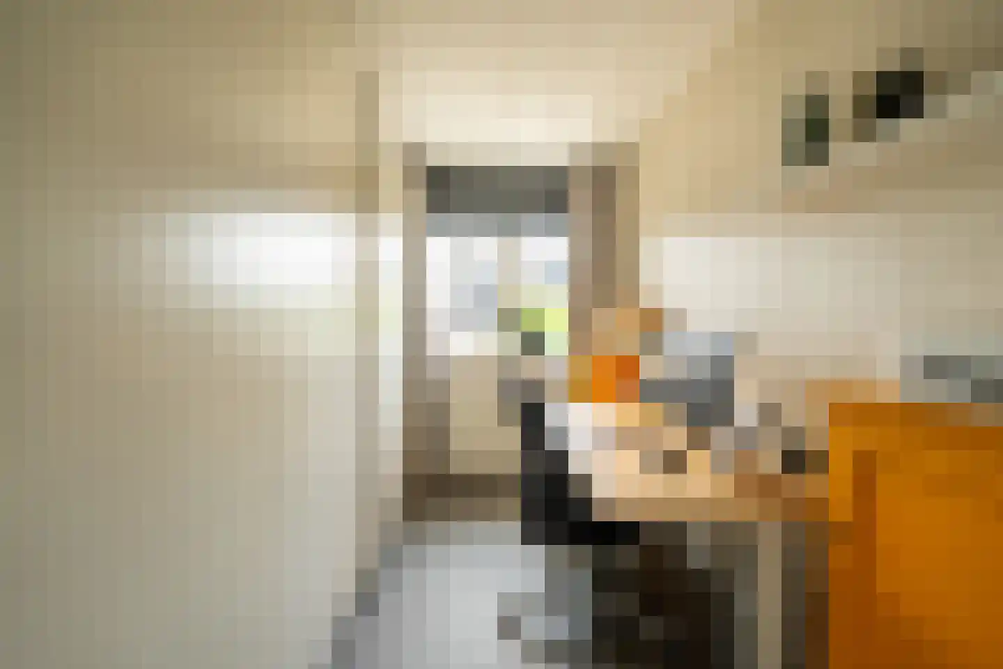 Jaap Edenbaan 12 Haarsteeg thumbnail 19
