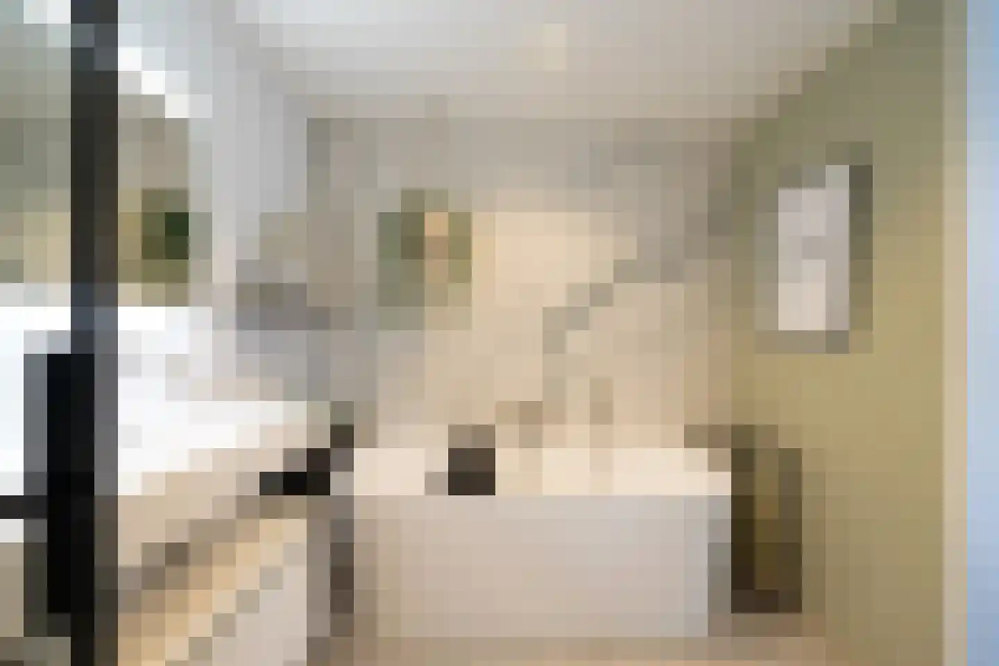 Jaap Edenbaan 12 Haarsteeg thumbnail 29