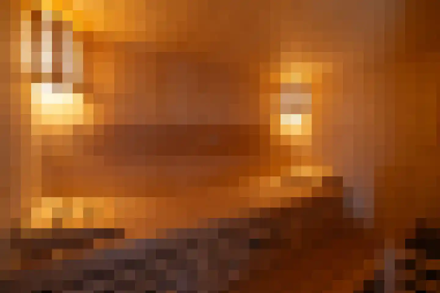 Jaap Edenbaan 12 Haarsteeg thumbnail 31
