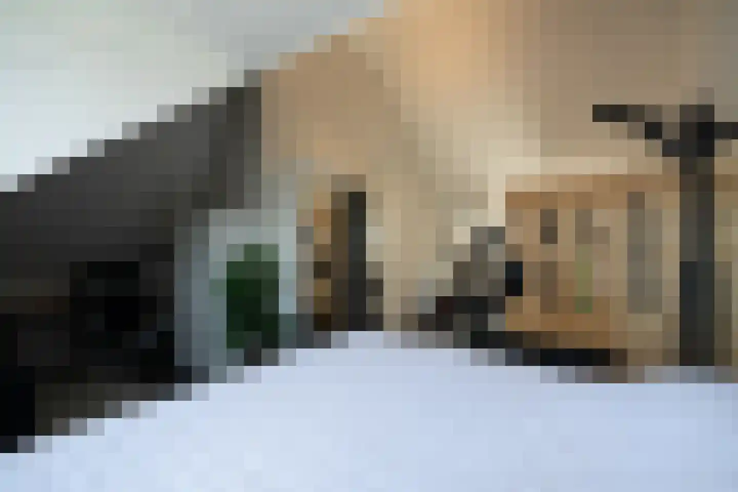 Jaap Edenbaan 12 Haarsteeg thumbnail 34