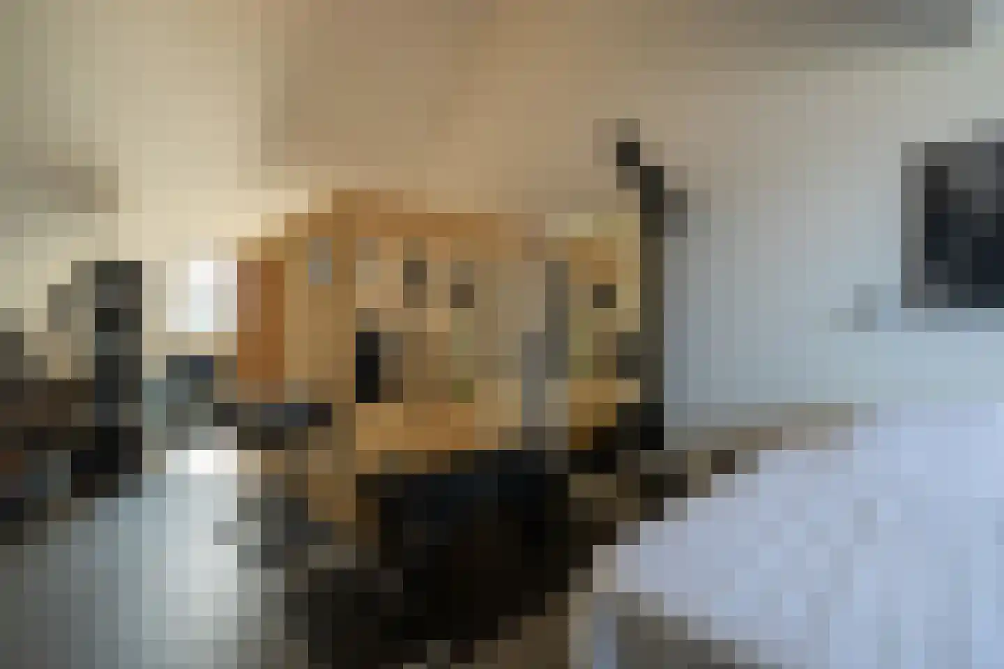 Jaap Edenbaan 12 Haarsteeg thumbnail 35