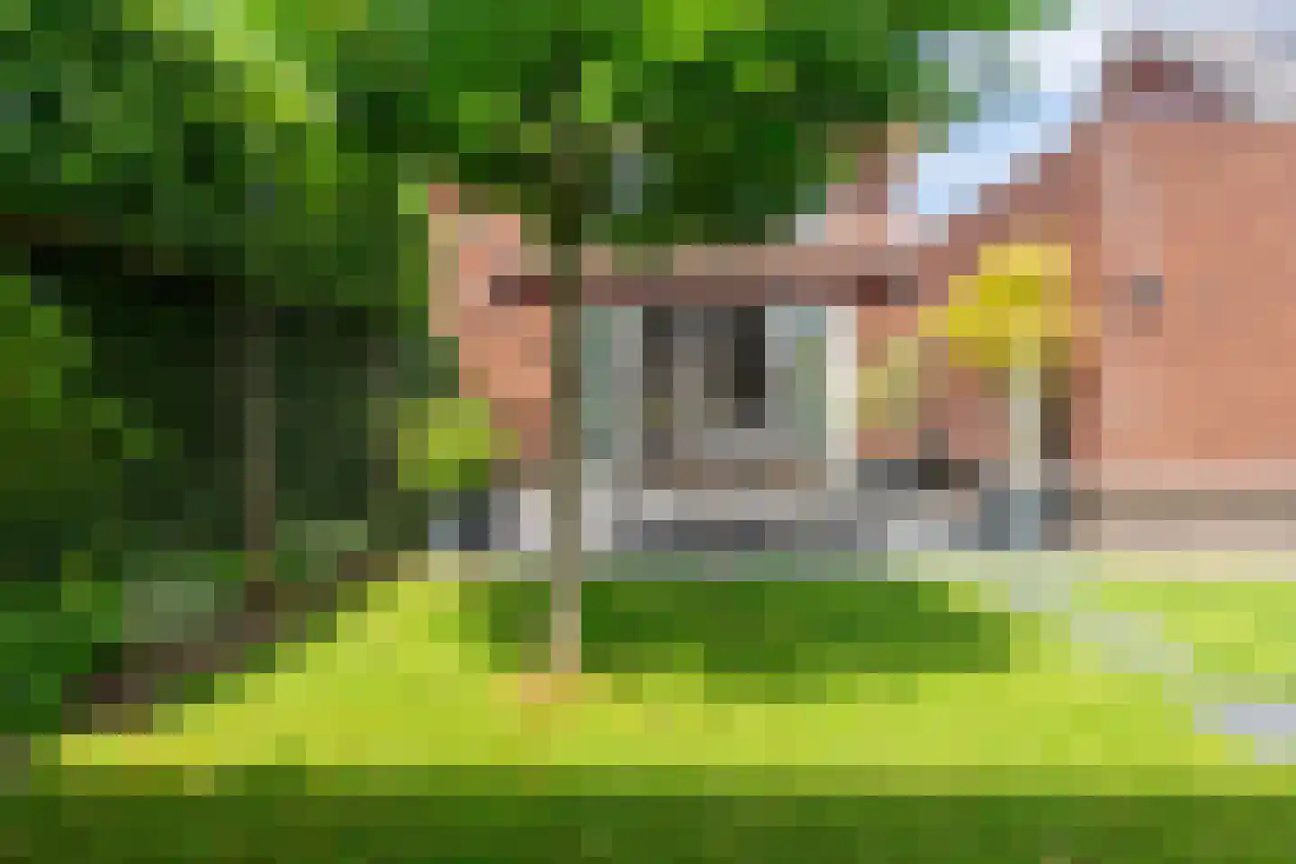 Jaap Edenbaan 12 Haarsteeg thumbnail 39
