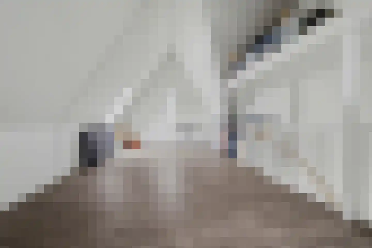 Jaap Edenbaan 3 Haarsteeg thumbnail 21