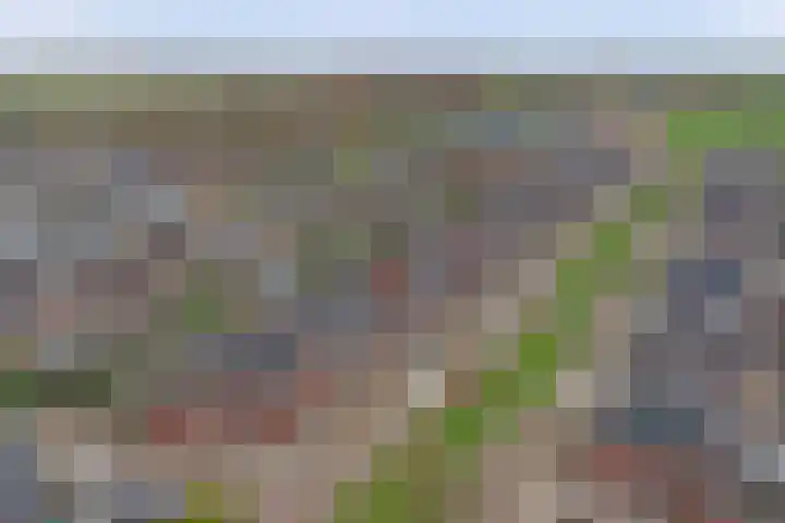 Jaap Edenbaan 3 Haarsteeg thumbnail 38