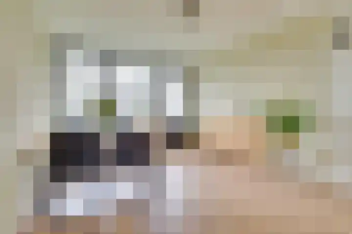 Jaap Edendreef 12 Utrecht thumbnail 13
