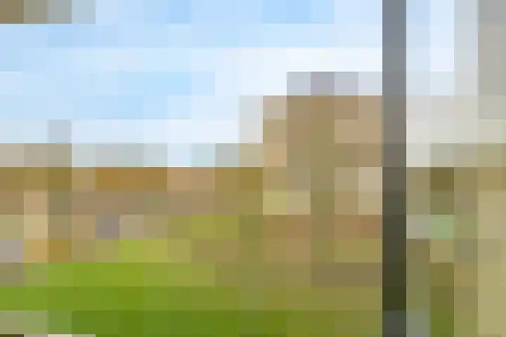 Jaap Edendreef 12 Utrecht thumbnail 21
