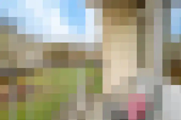 Jaap Edendreef 12 Utrecht thumbnail 24