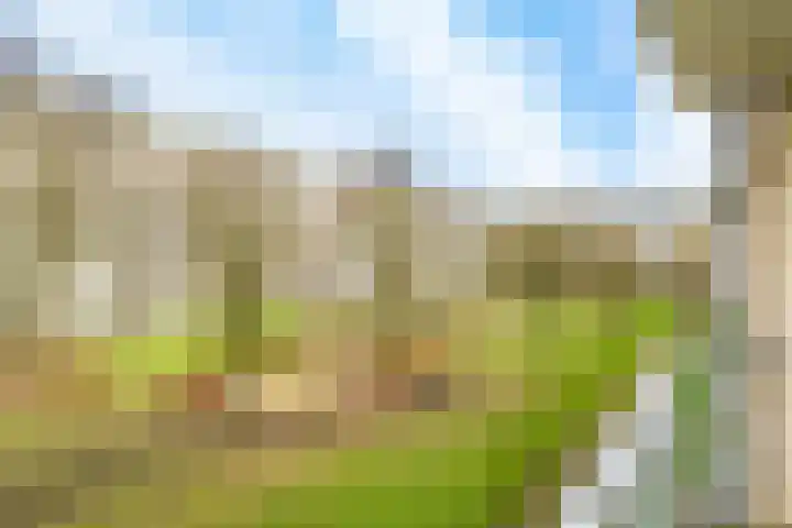 Jaap Edendreef 12 Utrecht thumbnail 25
