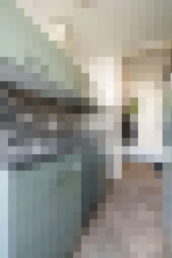 Jaap Edendreef 126 Utrecht thumbnail 18