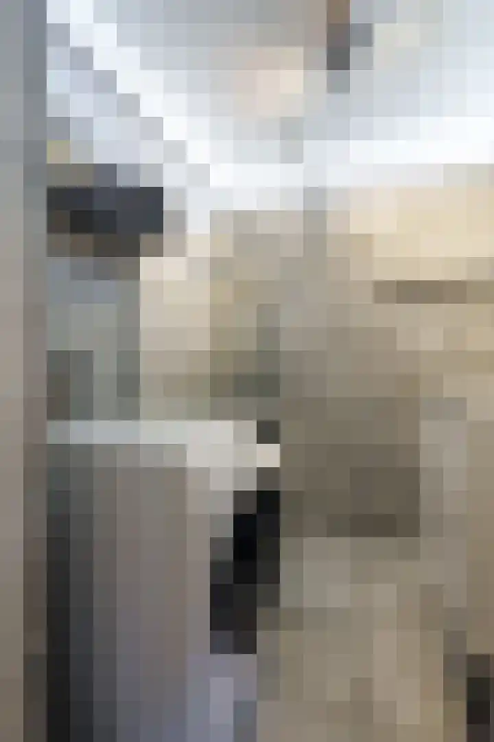 Jaap Edendreef 126 Utrecht thumbnail 21