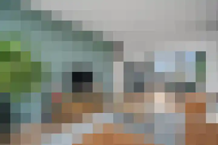 Jaap Edendreef 190 Utrecht thumbnail 16