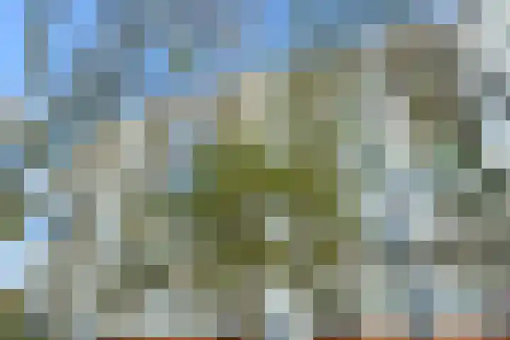 Jaap Edendreef 190 Utrecht thumbnail 36
