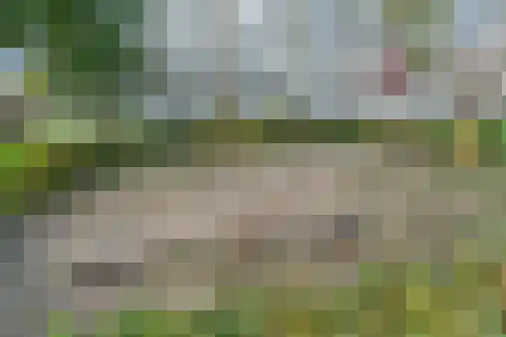Jaap Edendreef 190 Utrecht thumbnail 38