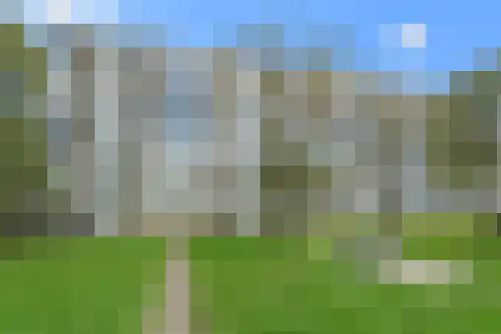 Jaap Edendreef 190 Utrecht thumbnail 41