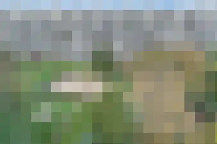 Jaap Edendreef 190 Utrecht thumbnail 43