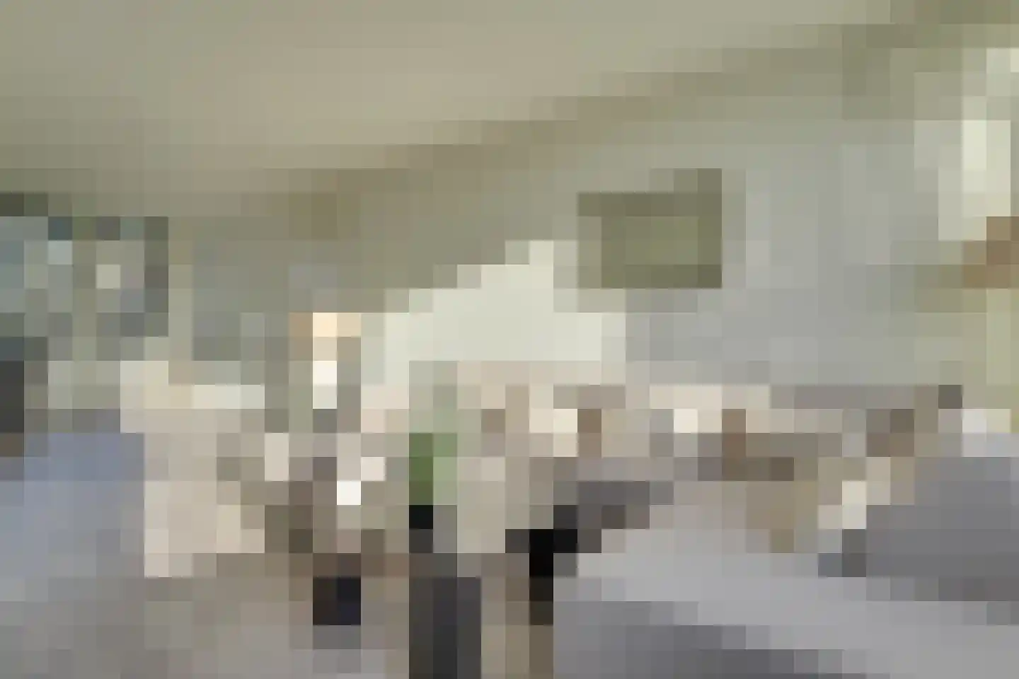 Jaap Edendreef 30 Utrecht thumbnail 11