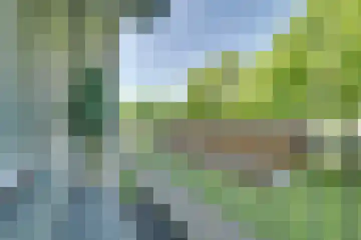 Jaap Edendreef 64 Utrecht thumbnail 13
