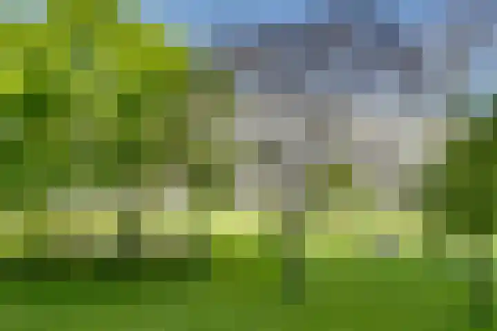 Jaap Edendreef 64 Utrecht thumbnail 14