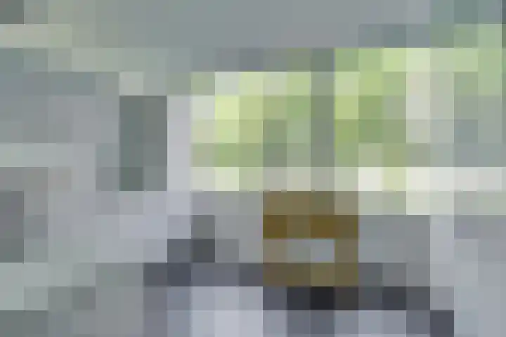 Jaap Edendreef 64 Utrecht thumbnail 17