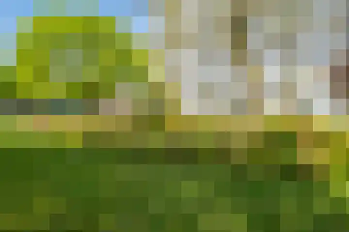 Jaap Edendreef 64 Utrecht thumbnail 32