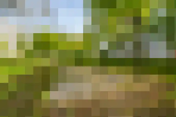 Jaap Edendreef 64 Utrecht thumbnail 33