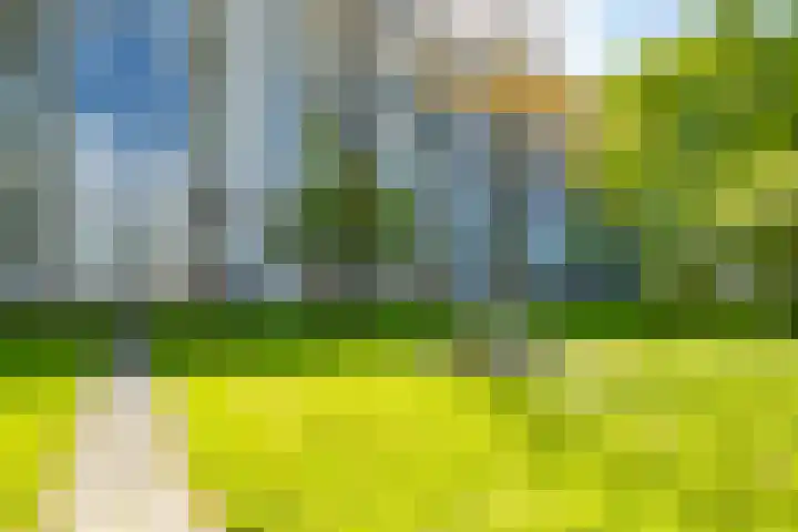 Jaap Edendreef 64 Utrecht thumbnail 39