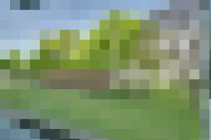 Jaap Edendreef 64 Utrecht thumbnail 4