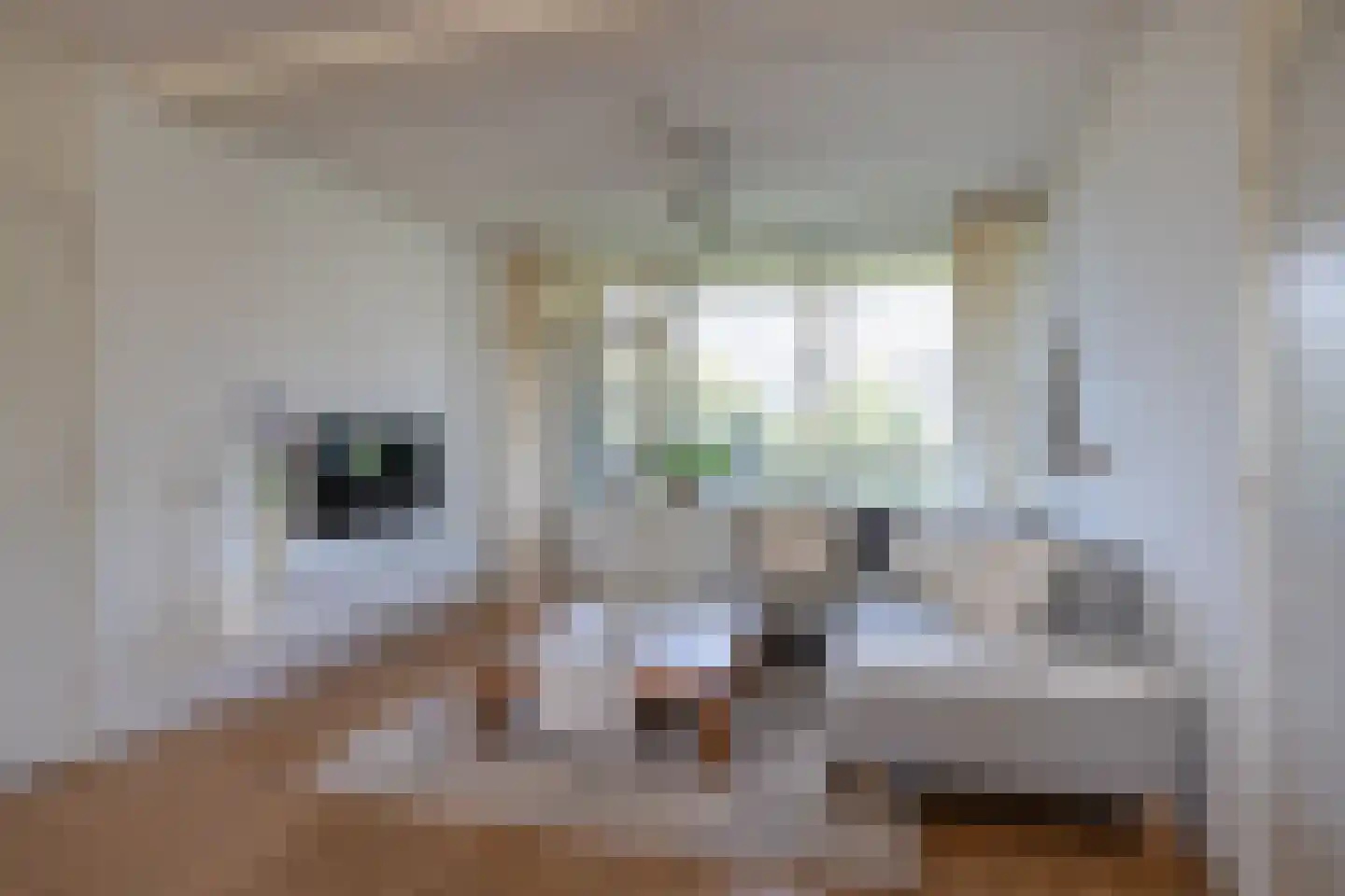 Jaap Edendreef 86 Utrecht thumbnail 7