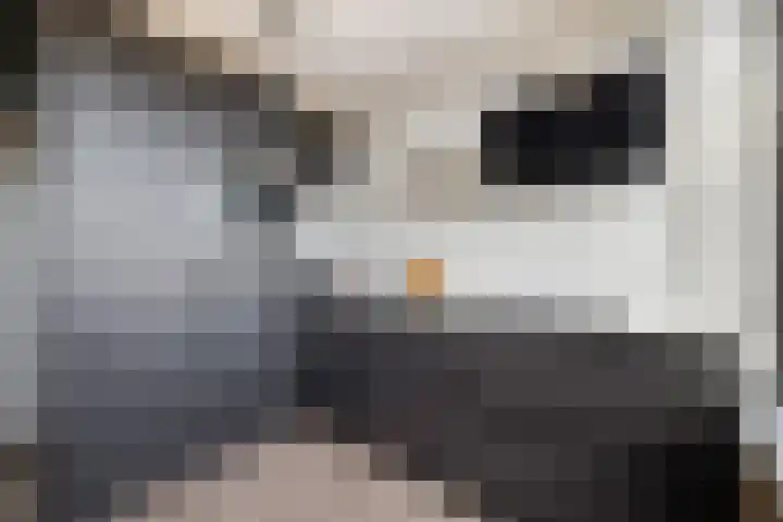 Jaap Edendreef 90 Utrecht thumbnail 10